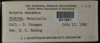 Image Associated With the Occurence